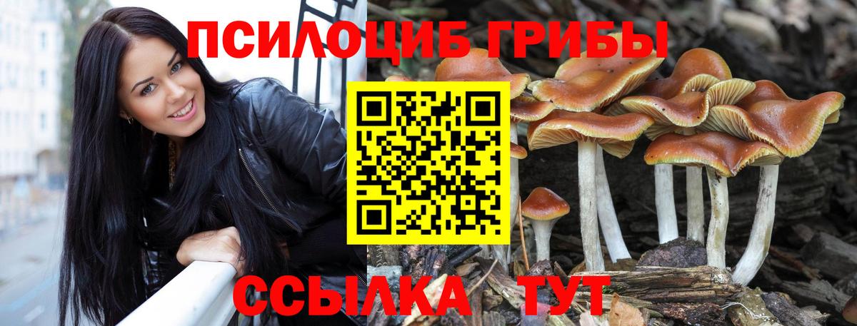 Галлюциногенные грибы MAGIC MUSHROOMS Елец